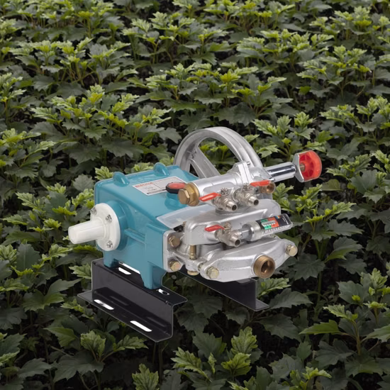 30model Power Sprayer Plunger Pump Hochleistungspumpe