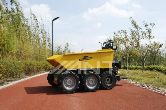 China Power Barrow/Muck Truck/Mini Dumper/Mini Loader By1000 mit Ce